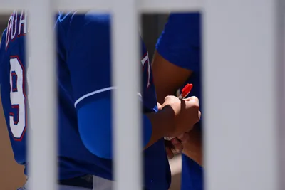 DSC_1701 (Large).JPG